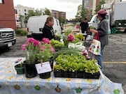 The colors, scents and farmers themselves are a draw to the St. George Greenmarket which has operated near the corner of Hyatt St. and St. Mark's Place since 1995. (Advance/SILive.com | Pamela Silvestri)