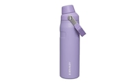 A photo of a Stanley water bottle against a white background.