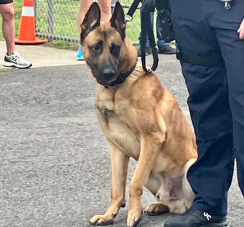 K9 Mike