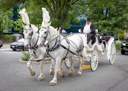 Christopher Romney arrives in a horse and carriage to the Susan Wagner High School Senior Prom held at the Hilton Garden Inn in Bloomfield on Friday, June 6, 2025. (Advance/SILive.com | Jason Paderon)
